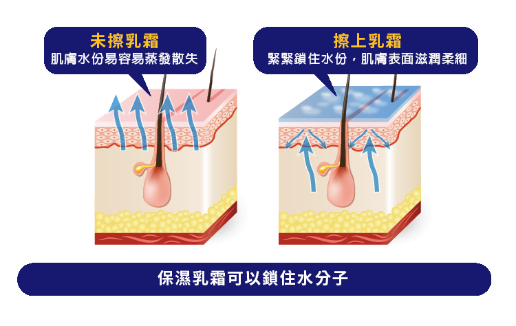 Vanicream薇霓肌本全日高效修護保濕乳霜,保濕,修護,無添加,滋潤,鎖水,長效,乾,癢,異敏,敏弱,肌膚,乳霜,龜裂,富貴手,冬季癢,好吸收,嬰幼兒,蘋果臉,銀髮,不黏膩,洗腎癢,化療癢,臉,身體,旅遊,異位性皮膚炎,尿布疹,粟粒腫,毛囊角化症,有效,皮膚科,缺水,乾燥,秋冬,妊娠紋,橘皮,粗糙,脫屑,凡士林,乾癢,乳液,脫皮,皮膚炎,濕疹,抗過敏,消炎,退紅,止癢,異位性,脂漏性,敏感肌,保養品,無添加,母嬰用品,美國原裝進口,醫師推薦,國際認證,臨床研究,醫美,網友熱搜,熱銷排行,口碑推薦,評價,體驗,實測,開箱