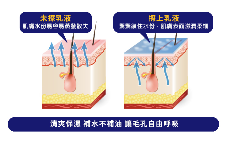 Vanicream薇霓肌本無油安膚清爽調理乳液,乳液,控油,清爽,無添加,無油,保濕,控油,受損,敏弱,肌膚,油性肌,混合肌,嬰幼兒,妊娠保養,無負擔,防護隔離,雞皮粒,曬後修護,四季保養,不黏膩,好吸收,脂漏性皮膚炎,尿布疹,有效,會呼吸的乳液,清爽乳液,皮膚科,百大網紅,粉刺,痘痘,缺水,乾燥,凡士林,粗糙,出油,毛孔粗大,保濕,脫屑,脫皮,皮膚炎,濕疹,抗過敏,消炎,退紅,止癢,異位性,脂漏性,敏感肌,保養品,無添加,母嬰用品,美國原裝進口,醫師推薦,國際認證,臨床研究,醫美,網友熱搜,熱銷排行,口碑推薦,評價,體驗,實測,開箱