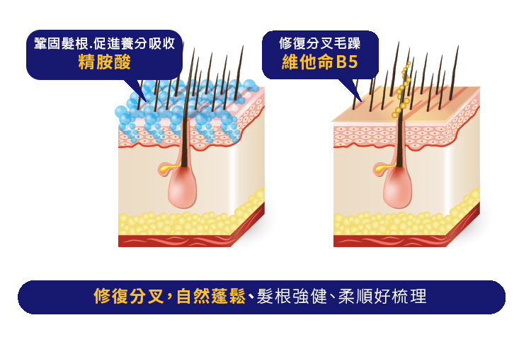 Vanicream薇霓肌本B5極緻豐盈護髮乳,滋養,髮絲,修護,豐盈,分叉,扁塌,斷裂,柔韌,有彈性,不黏膩,髮尾,健髮,好用,秀髮養成,自然光澤,有效,推薦,皮膚科,沙龍,髮品,蓬鬆,髮質,頭髮,毛躁,髮絲,潤髮,靜電,受損,修復,皮膚炎,濕疹,抗過敏,消炎,退紅,止癢,異位性,脂漏性,敏感肌,保養品,無添加,母嬰用品,美國原裝進口,醫師推薦,國際認證,臨床研究,醫美,網友熱搜,熱銷排行,口碑推薦,評價,體驗,實測,開箱