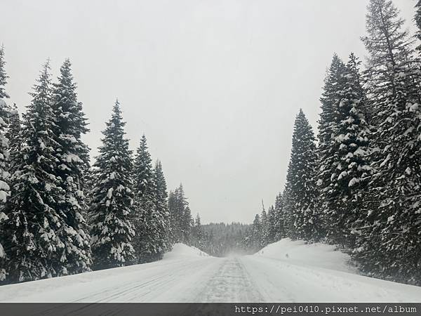 妮娜．Nina 親子生活 x 育兒日常，這是一張美國正在大雪紛飛的照片