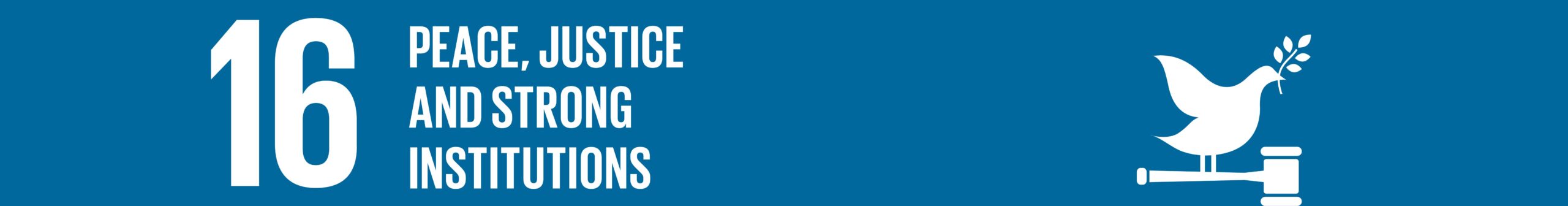 SDGs16和平、正義及健全制度：促進和平多元的社會，確保司法平等，建立具公信力且廣納民意的體系
