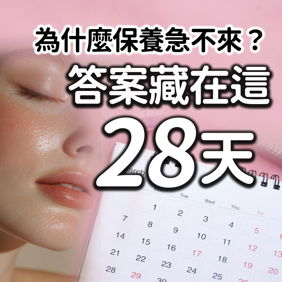 肌膚週期與保養節奏說明圖,傳遞溫和、耐心與長期照護的保養觀念。