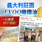義大利莊園EVOO橄欖油一引進便超乎預期！感謝專業報導與關注。畫面結合經濟日報報導B型企業昶虹貿易引進頂級橄欖油的網頁截圖，圖中展示多人在室內手持藍色品油杯的大合照，左下角帶有鼓掌插圖。