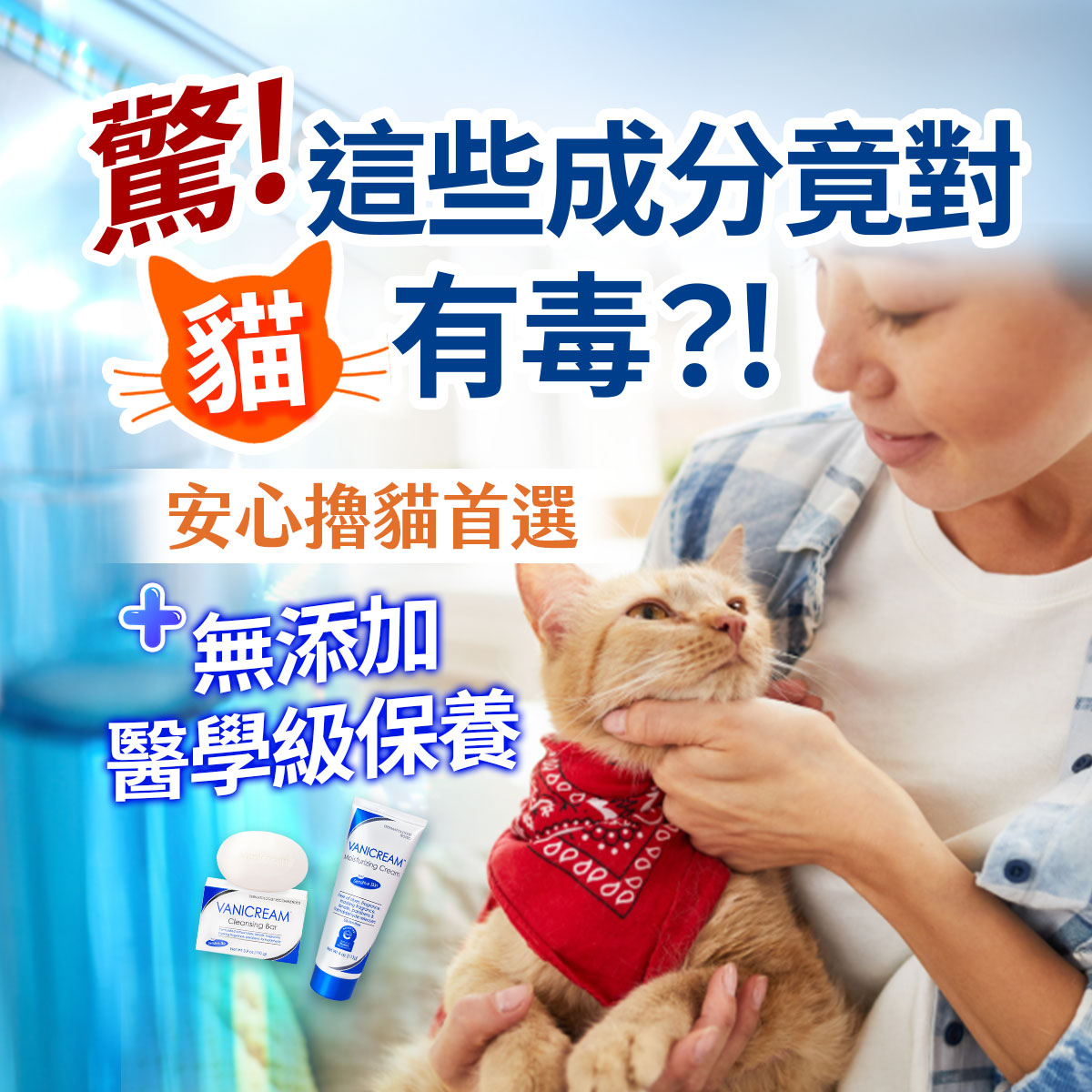 安心嚕貓首選保養圖。右側展示一名女性溫柔撫摸一隻戴紅領巾的橘貓。上方有驚！這些成分竟對貓有毒？！與貓咪大頭圖示，左下方標註無添加醫學級保養並擺放柔膚皂與保濕乳霜產品。